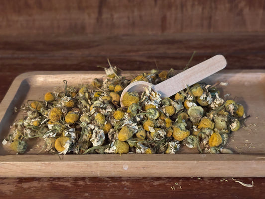 Dried Chamomile Flowers